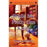 While My Pretty One Knits by Canadeo, Anne, 9781416598091