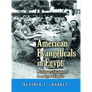 American Evangelicals in Egypt by Sharkey, Heather J., 9780691168104