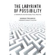 The Labyrinth of Possibility by Tricarico, Giorgio, 9780367328108
