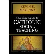 A Concise Guide to Catholic Social Teaching by McKenna, Kevin E., 9781594718113