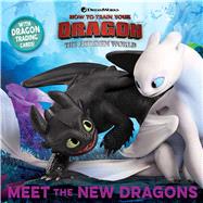 Meet the New Dragons by Testa, Maggie; Johnson, Shane L., 9781534438118