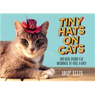 Tiny Hats on Cats Because Every Cat Deserves to Feel Fancy by Ellis, Adam, 9781455558131
