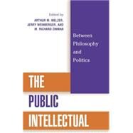 The Public Intellectual by Melzer, Arthur M.; Zinman, Richard M.; Bellow, Saul (CON); Diggins, John Patrick (CON); Hassner, Pierre (CON), 9780742508149