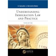Understanding Immigration Law and Practice by Gansallo, Ayodele; Bernstein-Baker, Judith, 9781543858150