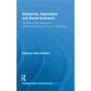 Enterprise, Deprivation and Social Exclusion: The Role of Small Business in Addressing Social and Economic Inequalities by Southern; Alan, 9780415458153