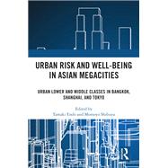 Urban Risk and Well-being in Asian Megacities by Tamaki Endo, 9781003328155