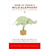 How to Train a Wild Elephant And Other Adventures in Mindfulness by BAYS, JAN CHOZEN, 9781590308172