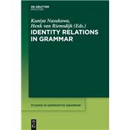 Identity Relations in Grammar by Nasukawa, Kuniya; Van Riemsdijk, Henk, 9781614518181