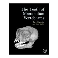 The Teeth of Mammalian Vertebrates by Berkovitz, Barry K. B.; Shellis, R. P., 9780128028186
