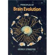 Principles Of Brain Evolution by Striedter, Georg F., 9780878938209