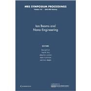 Ion Beams and Nano-engineering by Ila, Daryush; Chu, Paul K.; Lindner, Jörg K. N.; Kishimoto, Naoki; Baglin, John E. E., 9781107408234
