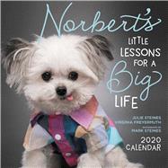 Norbert's Little Lessons for a Big Life 2020 Calendar by Steines, Julie; Freyermuth, Virginia; Steines, Mark, 9781449498238