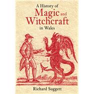 A History of Magic and Witchcraft in Wales Cunningmen, Cursing Wells, Witches and Warlocks in Wales by Suggett, Richard, 9780752428260