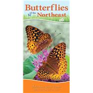 Butterflies of the Northeast by Daniels, Jaret C., 9781591938262