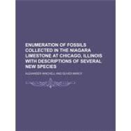 Enumeration of Fossils Collected in the Niagara Limestone at Chicago, Illinois With Descriptions of Several New Species by Winchell, Alexander; Marcy, Oliver, 9780217718271