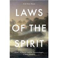 Laws of the Spirit by Ariel Evan Mayse, 9781503638273
