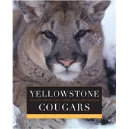 Yellowstone Cougars by Ruth, Toni K.; Buotte, Polly C.; Hornocker, Maurice G.; Mech, L. David, 9781607328285
