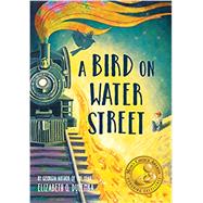 A Bird on Water Street by Dulemba, Elizabeth O., 9781492698289