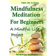 Mindful Meditation for Beginners by Mc Luhan, Eric, 9781508578291