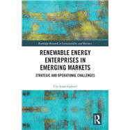 Renewable Energy Enterprises in Emerging Markets by Gabriel, Cle-anne, 9781138348295
