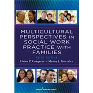 Multicultural Perspectives in Social Work Practice With Families by Congress, Elaine P., 9780826108296
