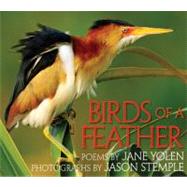 Birds of a Feather by Yolen, Jane; Stemple, Jason, 9781590788301