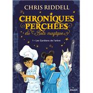 Chroniques perches du Bois magique , Tome 01 by Chris Riddell, 9782408018306