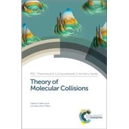 Theory of Molecular Collisions by Balint-kurti, Gabriel G.; Palov, Alexander P.; Hirst, Jonathan, 9781849738309
