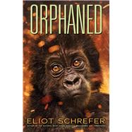 Orphaned (Ape Quartet #4) by Schrefer, Eliot, 9781338608311