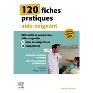 120 fiches pratiques aide-soignant by Alain Ram; Philippe Delpierre, 9782294778315