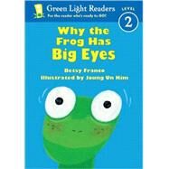 Why the Frog Has Big Eyes by Franco-Feeney, Betsy, 9780152048341