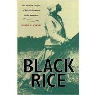 Black Rice by Carney, Judity A., 9780674008342