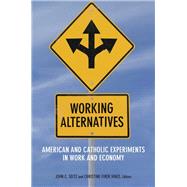 Working Alternatives by Seitz, John C.; Hinze, Christine Firer, 9780823288342