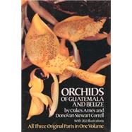 Orchids of Guatemala and Belize by Ames, Oakes; Correll, Donovan Stewart, 9780486248349