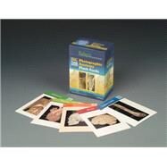 Rohen's Photographic Anatomy Flash Cards by Rohen, Johannes W., 9780781778350