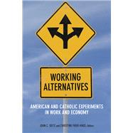 Working Alternatives by Seitz, John C.; Hinze, Christine Firer, 9780823288359