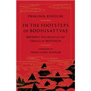 In the Footsteps of Bodhisattvas Buddhist Teachings on the Essence of Meditation by Rinpoche, Phakchok; Rinpoche, Chokyi Nyima, 9781611808377