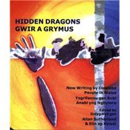Hidden Dragons Writing by Disabled People in Wales by ap Hywel, Elin, 9781902638393