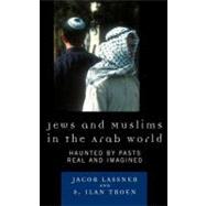 Jews and Muslims in the Arab World Haunted by Pasts Real and Imagined by Lassner, Jacob; Troen, Ilan S., 9780742558410