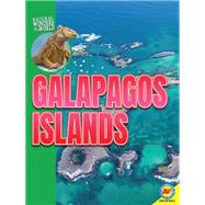 Galapagos Islands by Banting, Erinn, 9781791108427
