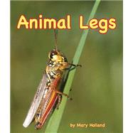 Animal Legs by Holland, Mary, 9781628558432