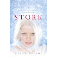 Stork by DELSOL, WENDY, 9780763648442