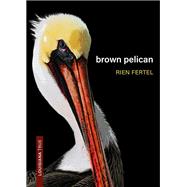 Brown Pelican by Rien Fertel, 9780807178461