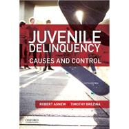 Juvenile Delinquency Causes and Control by Agnew, Robert; Brezina, Timothy, 9780199388462