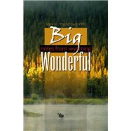 Big Wonderful by Holdsworth, Kevin, 9780870818462