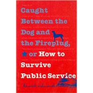 Caught Between the Dog and the Fireplug, Or, How to Survive Public Service by Ashworth, Kenneth H., 9780878408474