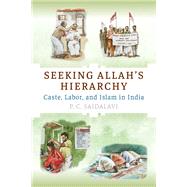 Seeking Allah's Hierarchy by P.  C. Saidalavi, 9781512828481