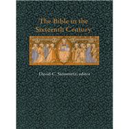 The Bible in the Sixteenth Century by Steinmetz, David C., 9780822318491