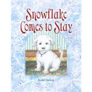 Snowflake Comes to Stay by Hayes, Karel, 9780892728503