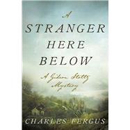 A Stranger Here Below by Fergus, Charles, 9781510738508